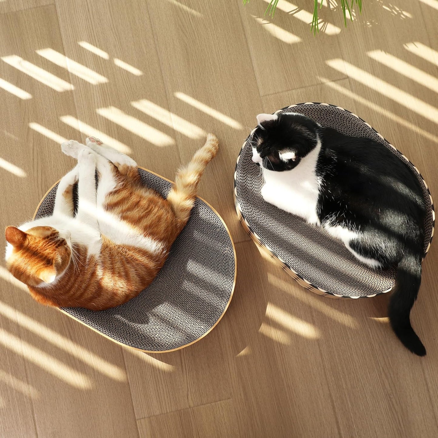 Cat Scratcher Bed – Dual-Purpose Cardboard Lounge with Curved Design, for Indoor Cats Under 22 lbs