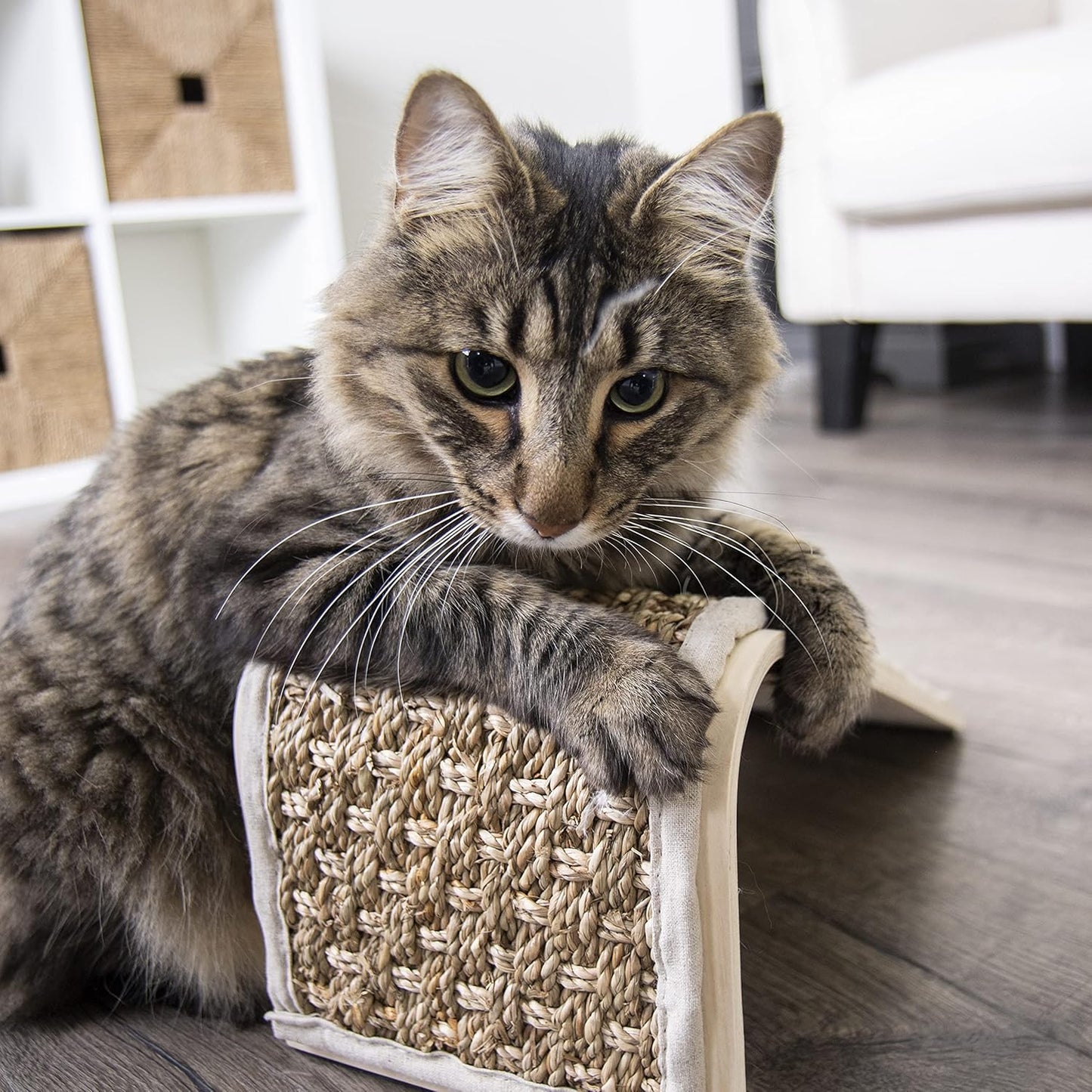 Natural Water Hyacinth Cat Scratching Ramp – Wooden Incline Scratcher for Clawing and Stretching